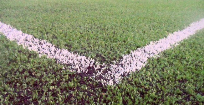 Synthetic Play Facility